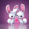 SnowyRabbit