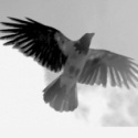 karasu