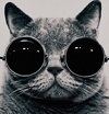 nyancat01