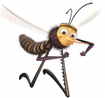 Mosquito