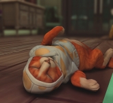 BexoSims