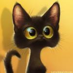 musya