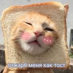 Мирамистин