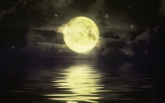 Y_Moonlight