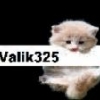 Valik325