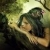 Brigitta