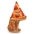 pizzzacat
