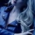 Candice Accola