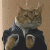 CatGeneral