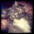 danil_12