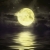 Y_Moonlight