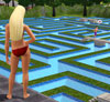 Осенью 2010 года выходит версия The Sims 3 для консолей!
