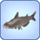 Сиамская рыба