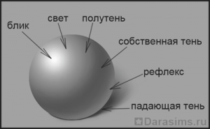 Светотень и объем в постановке