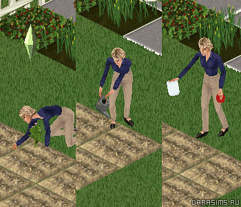 Cадоводство и огород в «The Sims: Unleashed» Cадоводство и огород в «The Sims: Unleashed»