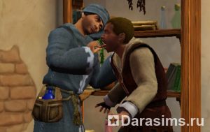 Герои в «The Sims Medieval»
