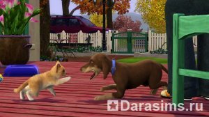 EA отпускает на волю животных в игре «The Sims 3 Питомцы»