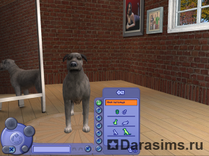 Create-A-Sim (CAS)