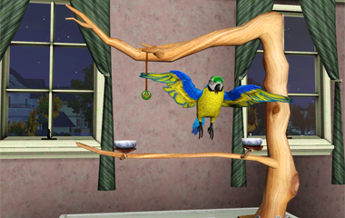 Птицы, детеныши и разведение животных в «The Sims 3: Питомцы»