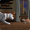 Что делают твои питомцы в The Sims 3 Pets?