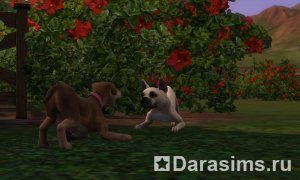 Портал simsnieuws о «The Sims 3: Питомцы»