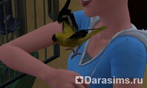 Портал simsnieuws о «The Sims 3: Питомцы»