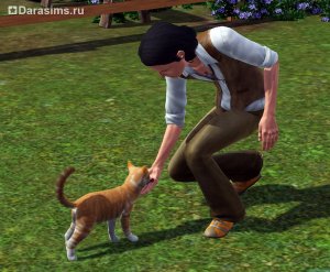 Коты, кошки и котята в «The Sims 3 Питомцы»