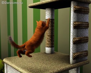 Коты, кошки и котята в «The Sims 3 Питомцы»