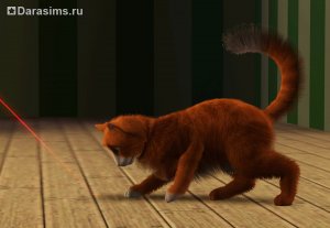 Коты, кошки и котята в «The Sims 3 Питомцы»