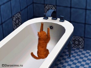 Коты, кошки и котята в «The Sims 3 Питомцы»