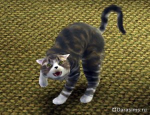 Коты, кошки и котята в «The Sims 3 Питомцы»