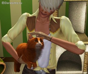 Коты, кошки и котята в «The Sims 3 Питомцы»