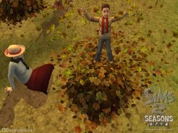 The Sims 2: Seasons (Симс 2: Времена года)