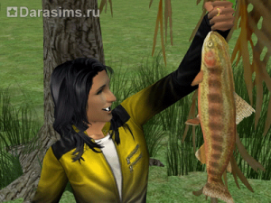 Рыболовство в «Симс 2: Времена года»