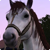 Лошади в «The Sims 3 Питомцы» Лошади в «The Sims 3 Питомцы»