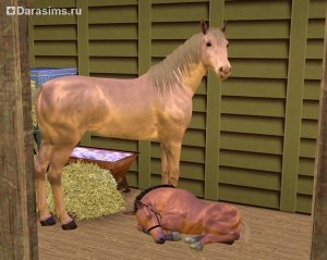 Лошади в «The Sims 3 Питомцы»