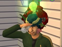 Наношапка [The Sims 2]