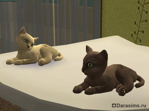 Кошки и собаки в «Симс 2»