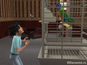 Мелкие животные и птицы в «The Sims 2: Питомцы»