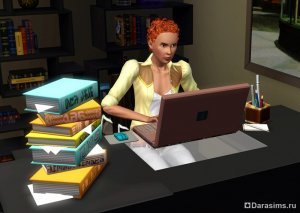 Неформальный заработок в «The Sims 3» и аддонах