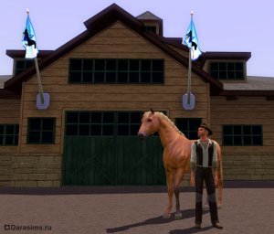 Неформальный заработок в «The Sims 3» и аддонах