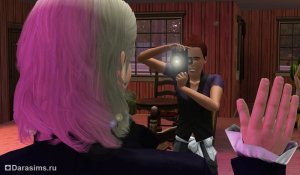 Неформальный заработок в «The Sims 3» и аддонах