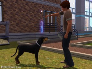 Навык охоты в «The Sims 3 Питомцы»