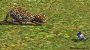 Навык охоты в «The Sims 3 Питомцы»