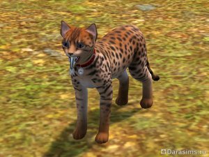 Навык охоты в «The Sims 3 Питомцы»