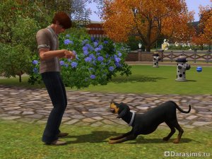 Дрессировка и трюки в «The Sims 3 Pets»