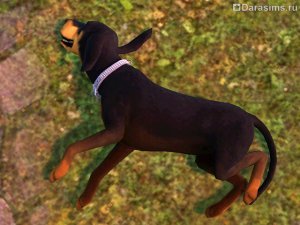 Дрессировка и трюки в «The Sims 3 Pets»