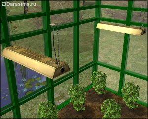 Ростоманы в «The Sims 2: Времена года»