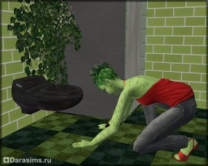 Ростоманы в «The Sims 2: Времена года»