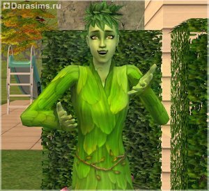 Садоводство в «The Sims 2 Seasons»